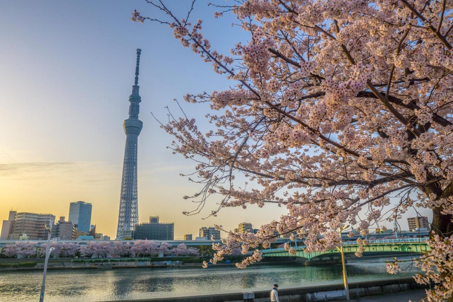 Stayme The Hotel Asakusa Riverside Tokyo prefektur Exteriör bild